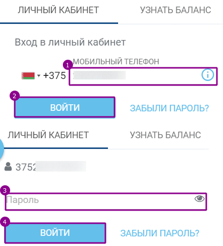 Авторизация и вход в личный кабинет byfly