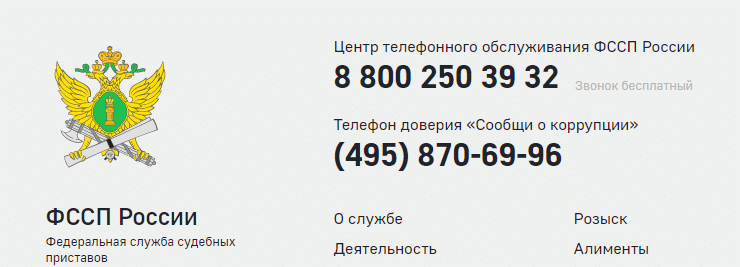 Контактная информация