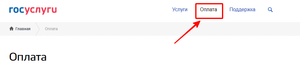 Оплата через сайт госуслуг