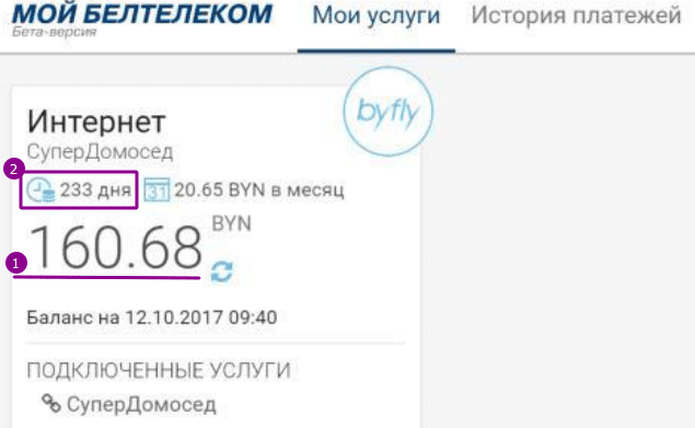 Состояние счета по услугам