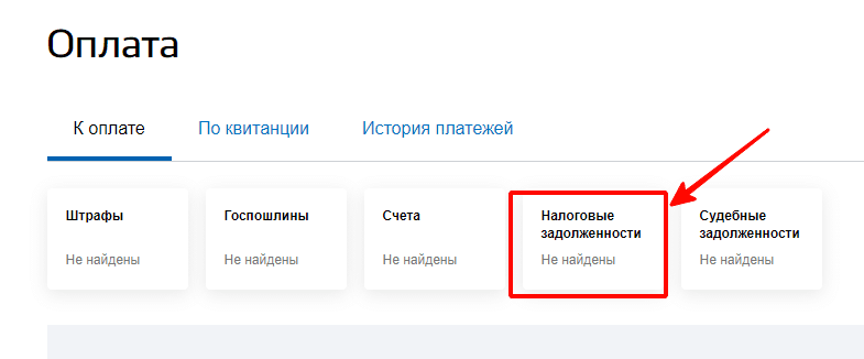 Внести налоговый платеж